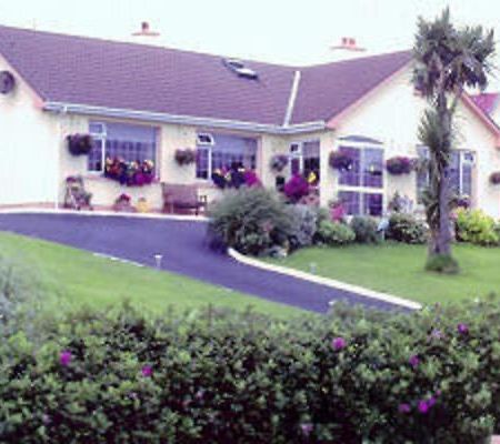 The Yellow Rose B&B Belderg Buitenkant foto