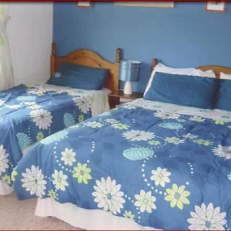 The Yellow Rose B&B Belderg Buitenkant foto