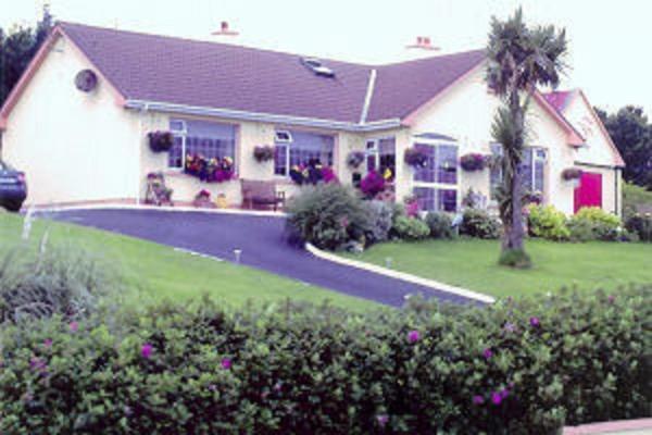 The Yellow Rose B&B Belderg Buitenkant foto