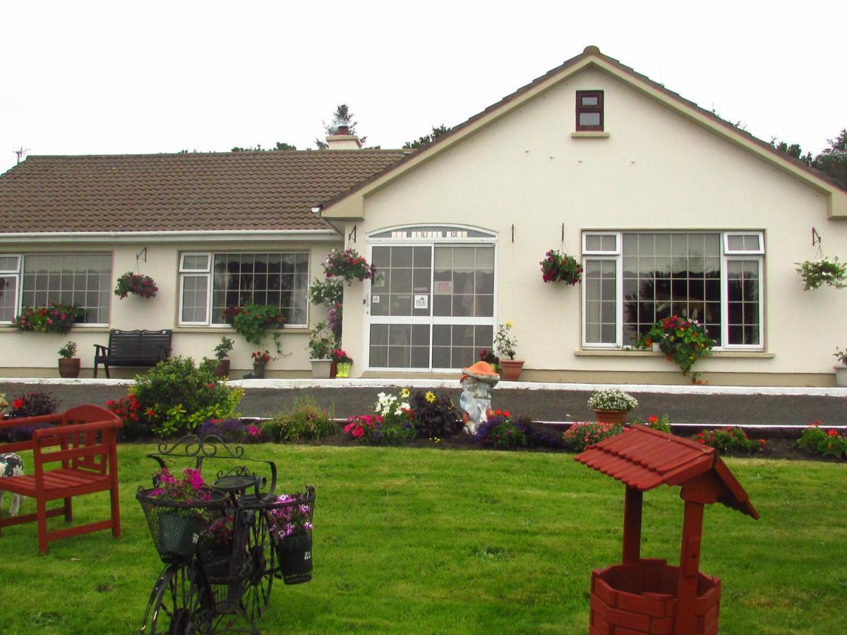The Yellow Rose B&B Belderg Buitenkant foto